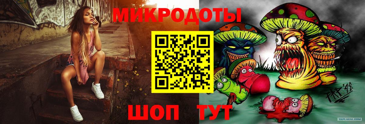 Псилоцибиновые грибы Psilocybe Горячий Ключ