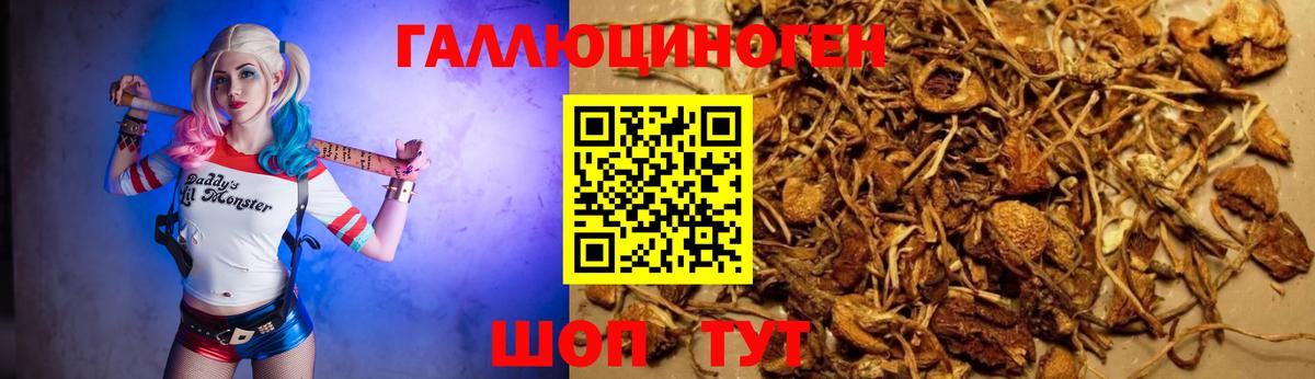 Псилоцибиновые грибы прущие грибы  Вход с VPN  Горячий Ключ  купить наркотики цена  Псилоцибиновые грибы ЛСД 